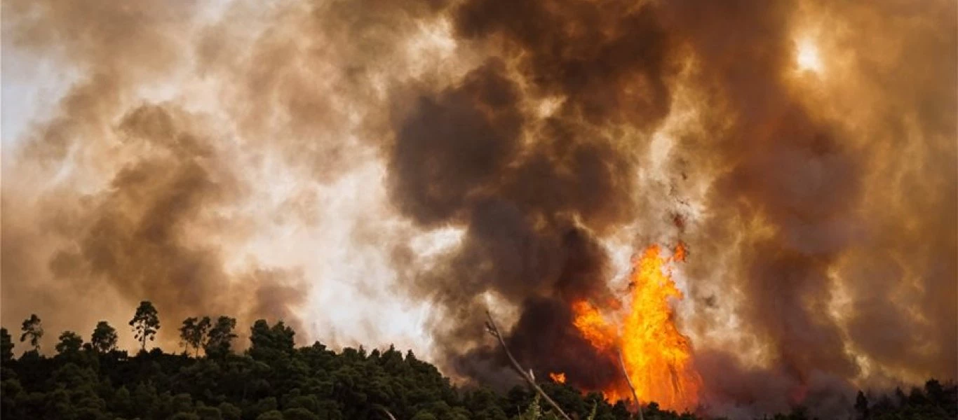 Συνεχίζεται η μάχη με τις φωτιές στην Αμαλιάδα: